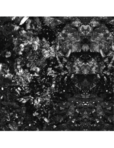 U-BV020 - DIORAMA SILVER